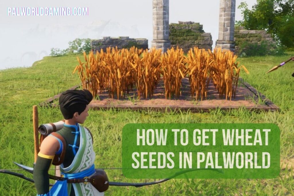 How To Get Wheat Seeds in Palworld