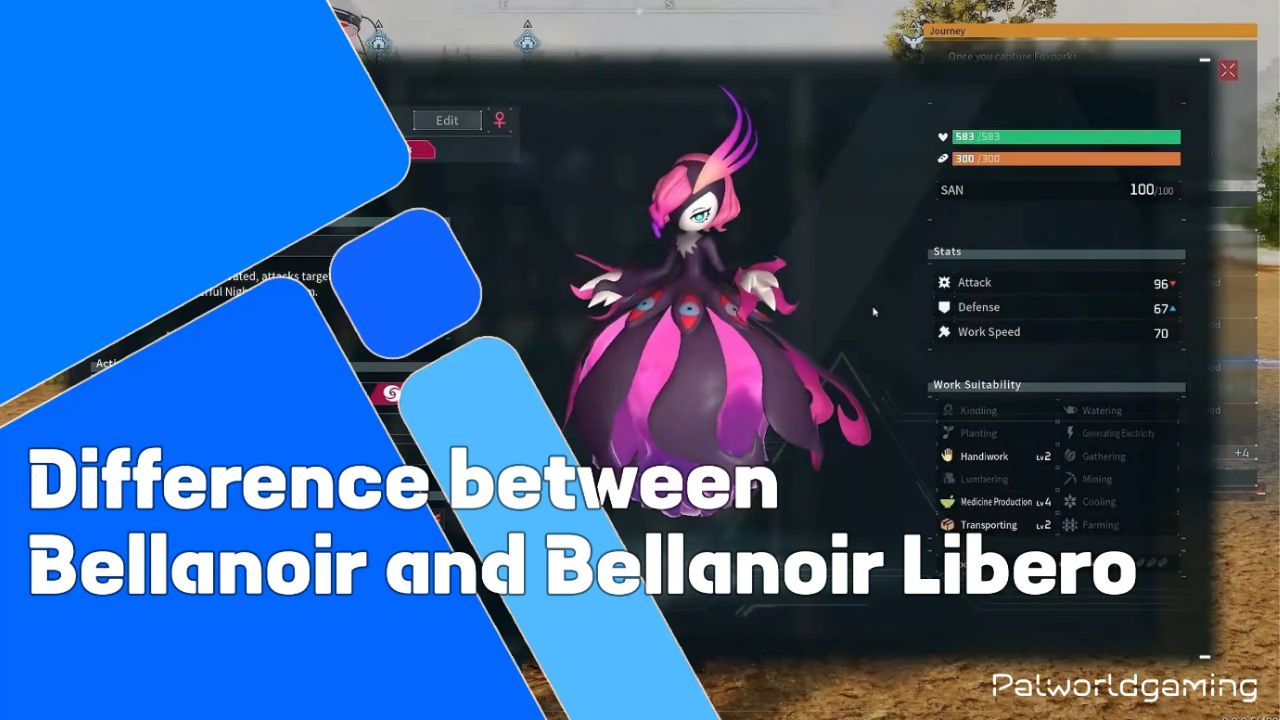 Difference Between Bellanoir And Bellanoir Libero