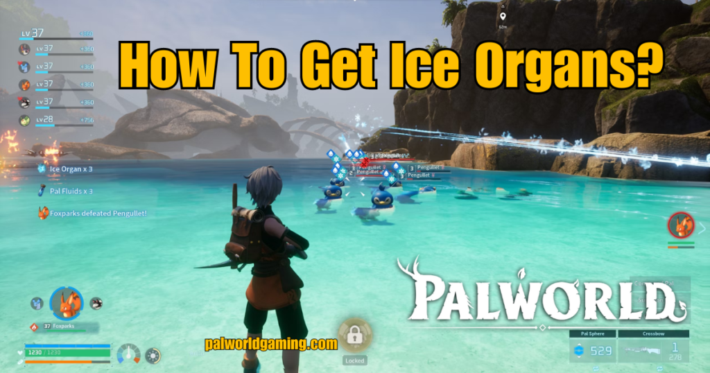 How To Get Ice Organs?